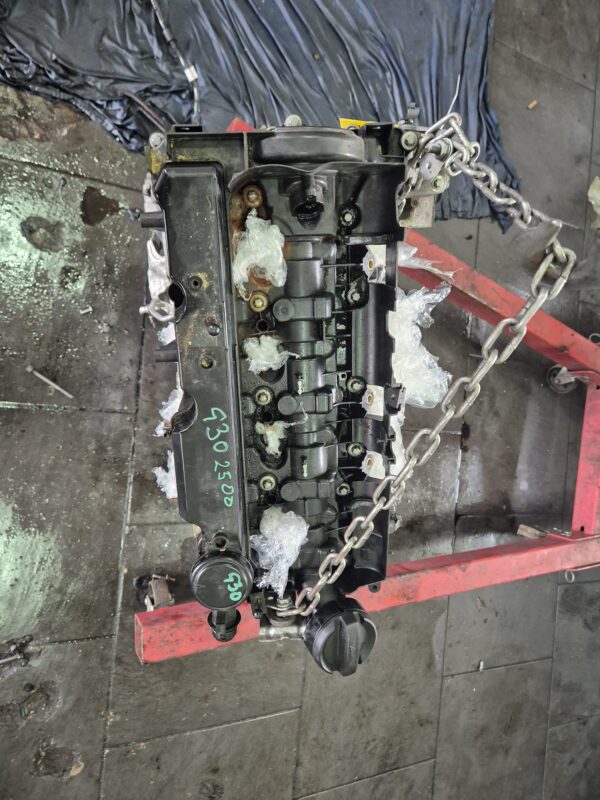 MOTOR BMW 5 G30 N47B BITURBO