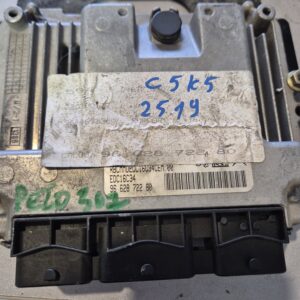 ELEKTRONIKA MOTORA PEUGEOT 307 2.0#966280