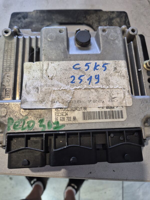 ELEKTRONIKA MOTORA PEUGEOT 307 2.0#966280
